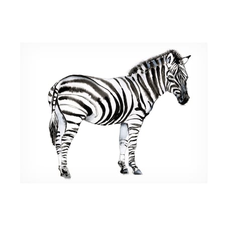 Jennifer Goldberger 'Standing Zebra I' Canvas Art, 14x19